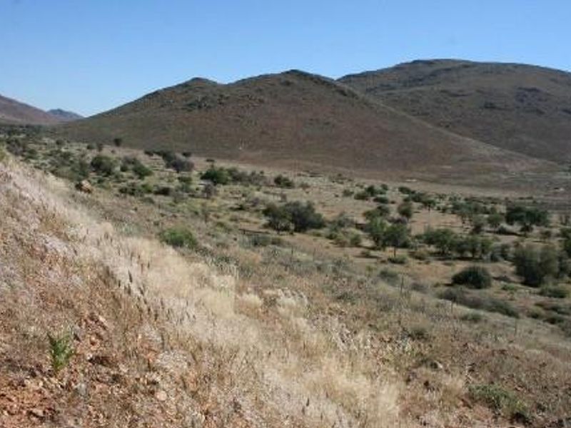 CATTLE / SHEEP / GAME FARMS FOR SALE KARAS REGION - Photo 4