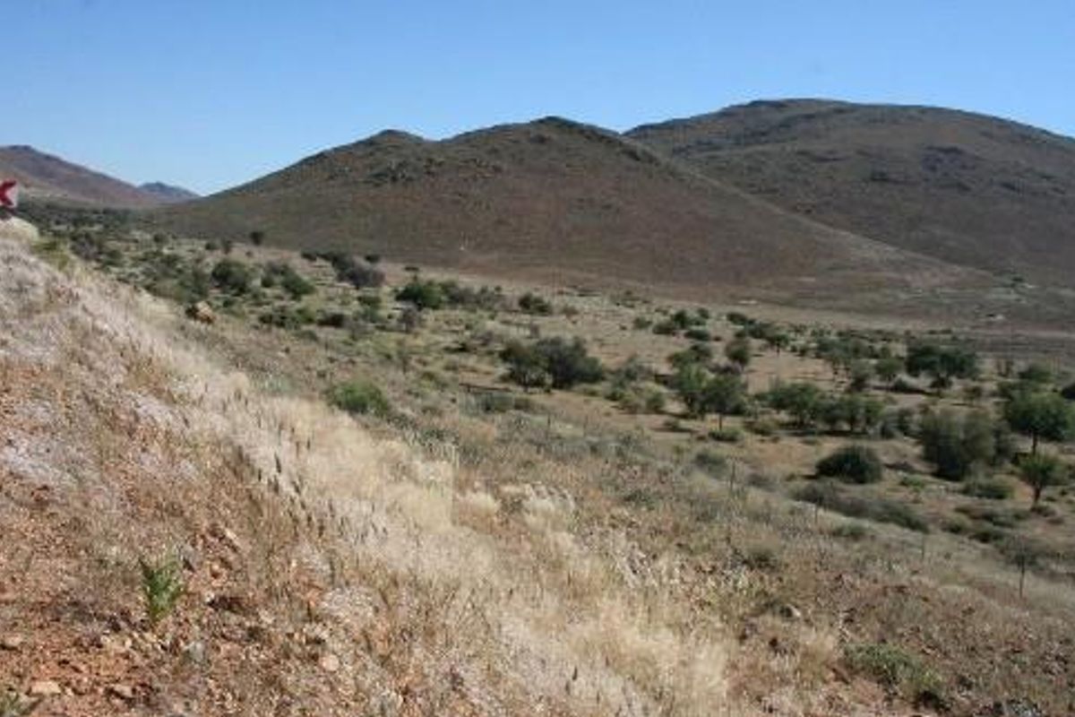 CATTLE / SHEEP / GAME FARMS FOR SALE KARAS REGION - Photo 4