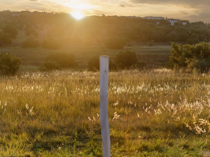 Stunning Vacant Land in Monaghan Farms - Photo 10
