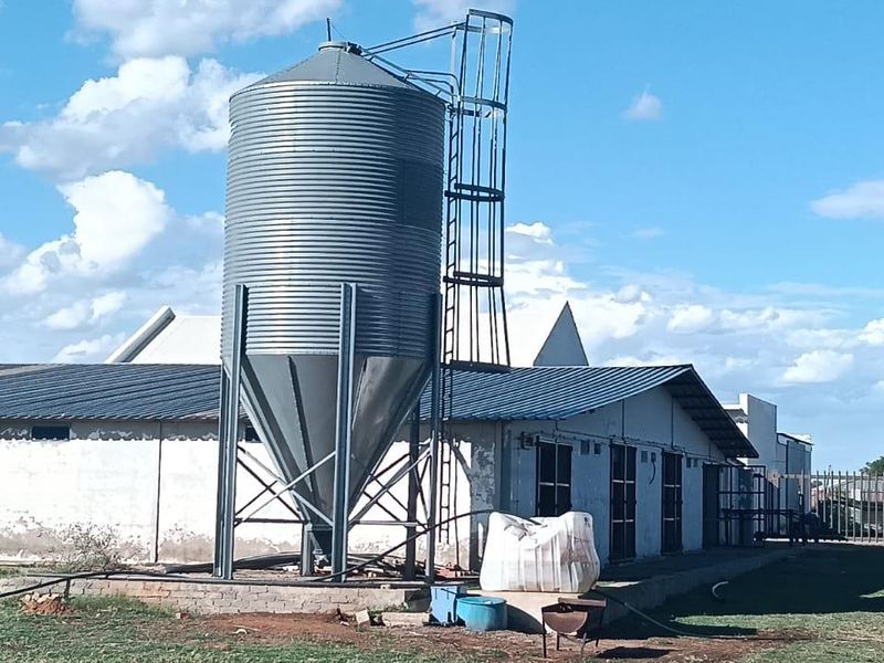 Edable land. Broiler Cage for 19000 chickens fully computeries.Totally off grid. - Photo 8