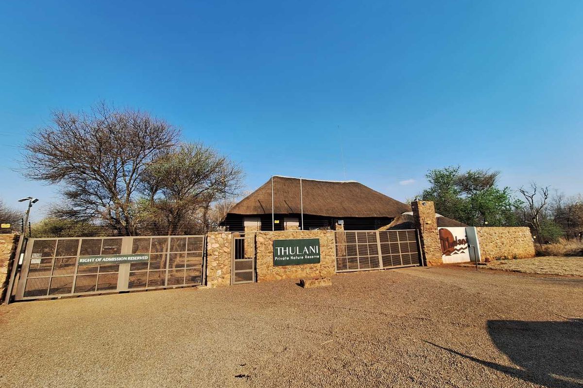 Prime Stand In Pristine Bushveld - Photo 2