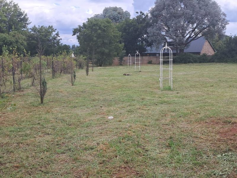 4064m2 Vacant Stand with Borehole, Municipal Water & 3-Phase Power in Henley on Klip - Photo 4