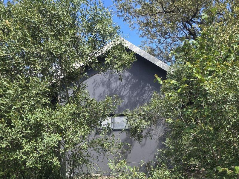 Furnished 1 bedroom, 1 bathroom cottage on Moditlo Wildlife Estate - Photo 2