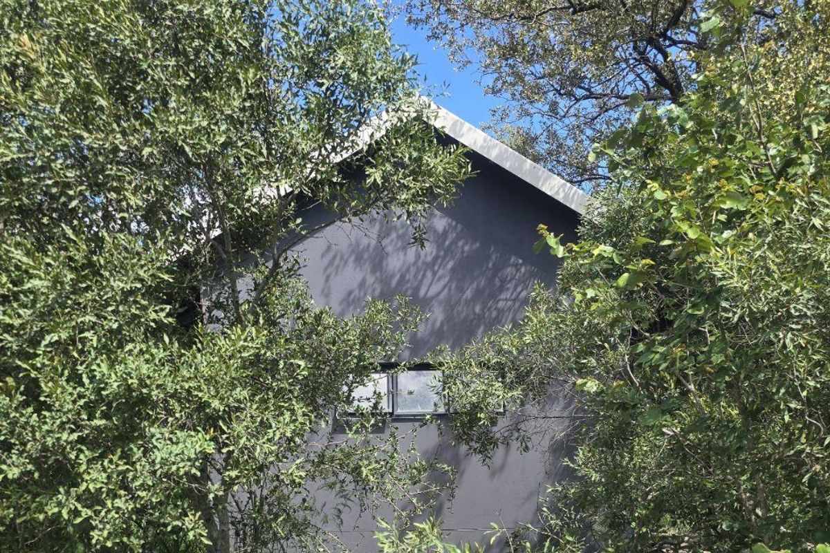 Furnished 1 bedroom, 1 bathroom cottage on Moditlo Wildlife Estate - Photo 2