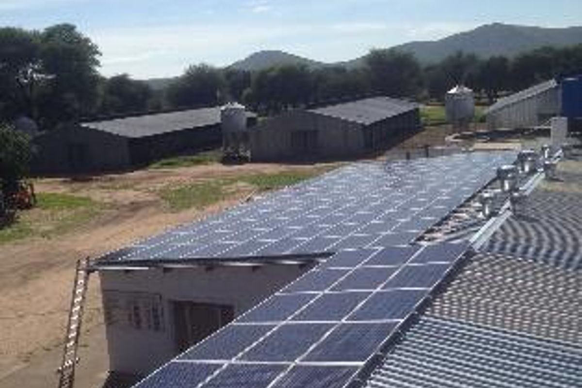 Aerial view of a commercial property featuring extensive rooftop solar panel installations on corrugated metal roofing, with surrounding agricultural or industrial outbuildings.
