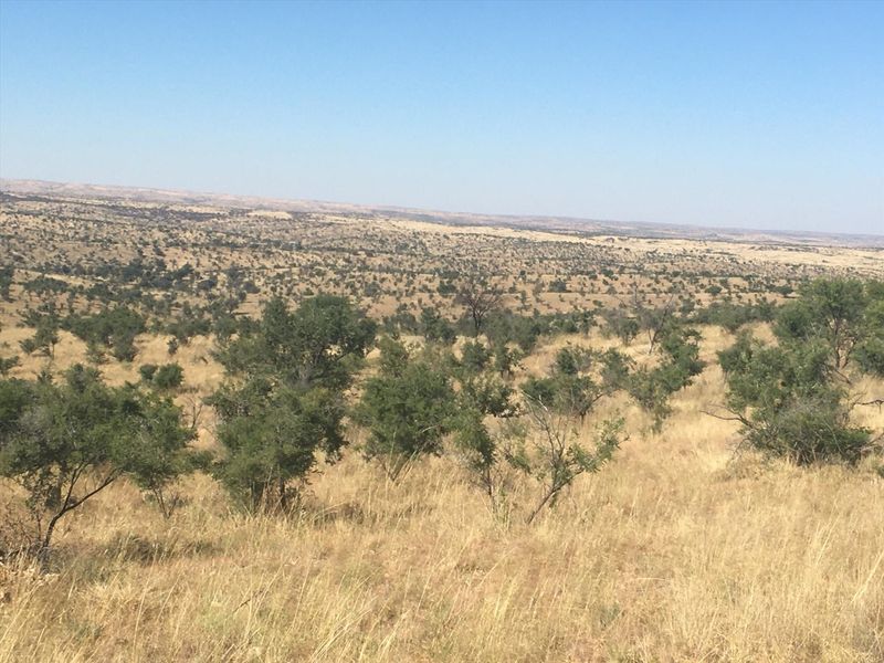 LIVE OFF THE GRID !!! 26.7km OUTSIDE WINDHOEK ! - Photo 3