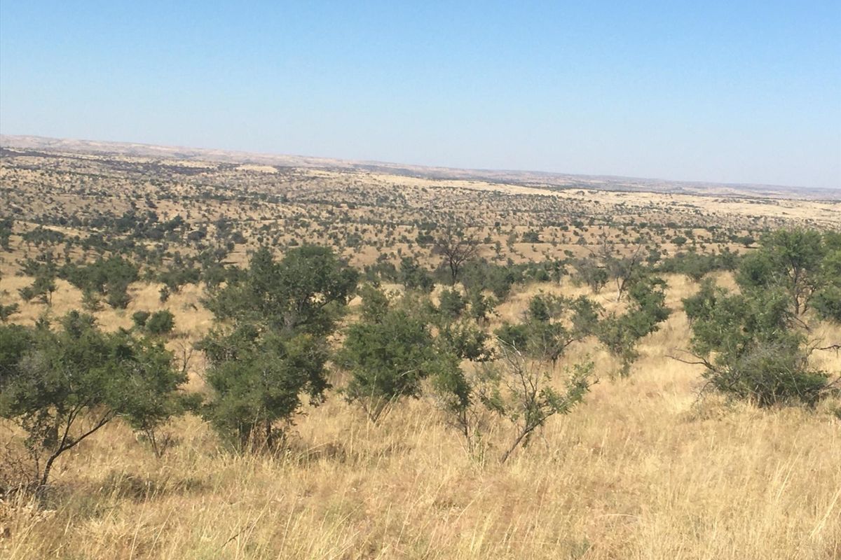 LIVE OFF THE GRID !!! 26.7km OUTSIDE WINDHOEK ! - Photo 3