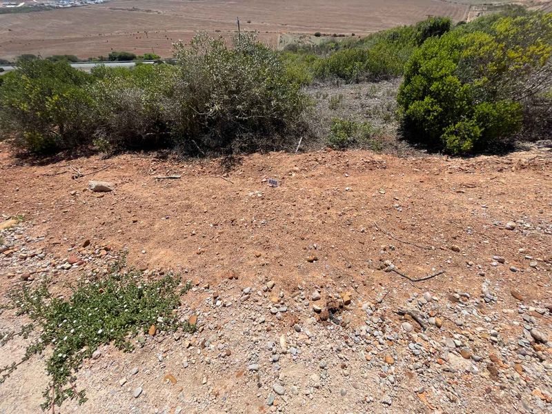 759m2 Vacant Stand For Sale in Hartland Estate - Exclusive Opportunity - Photo 3