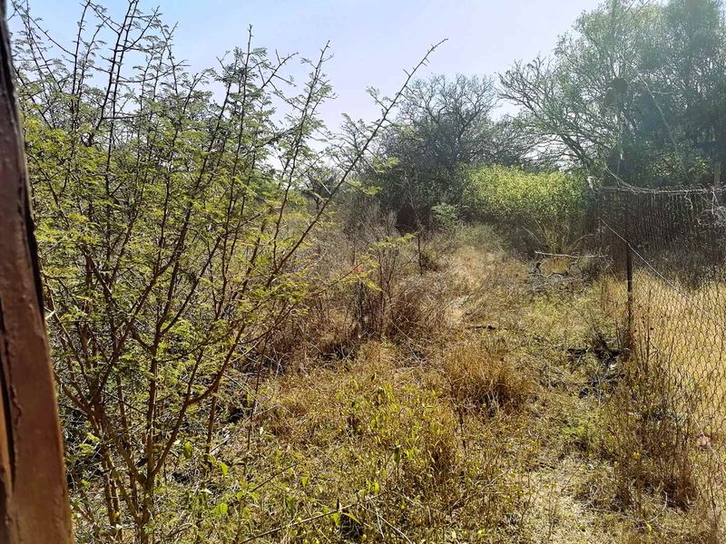 Vacant Land for Sale – Wildebeesthoek - Photo 6
