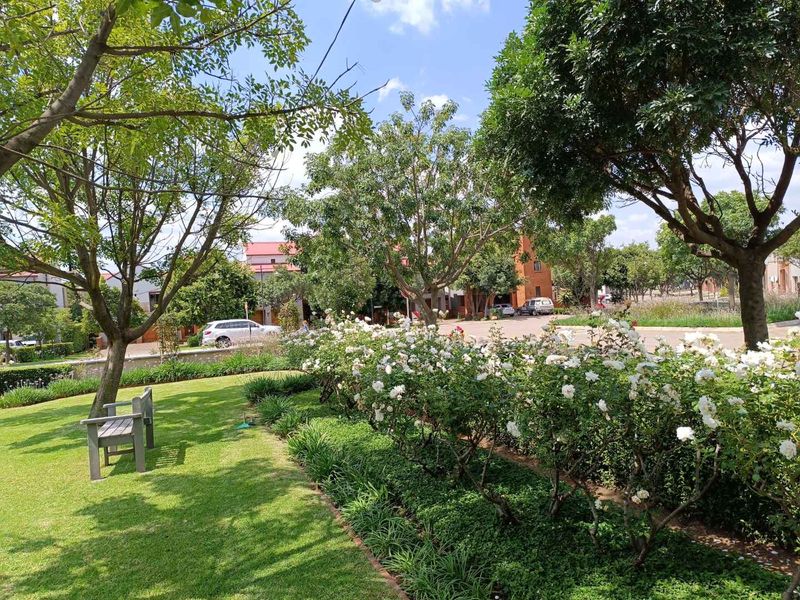 A well-maintained garden area featuring lush green lawn, mature trees, and established rose bushes with neat brick edging.