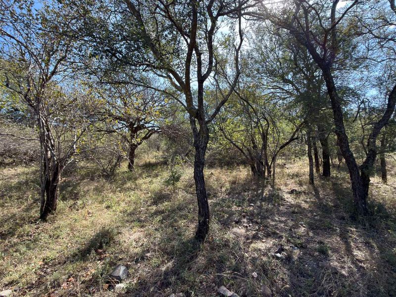 Beautiful Bushveld Views in Elephant Rock Eco Estate - Photo 8