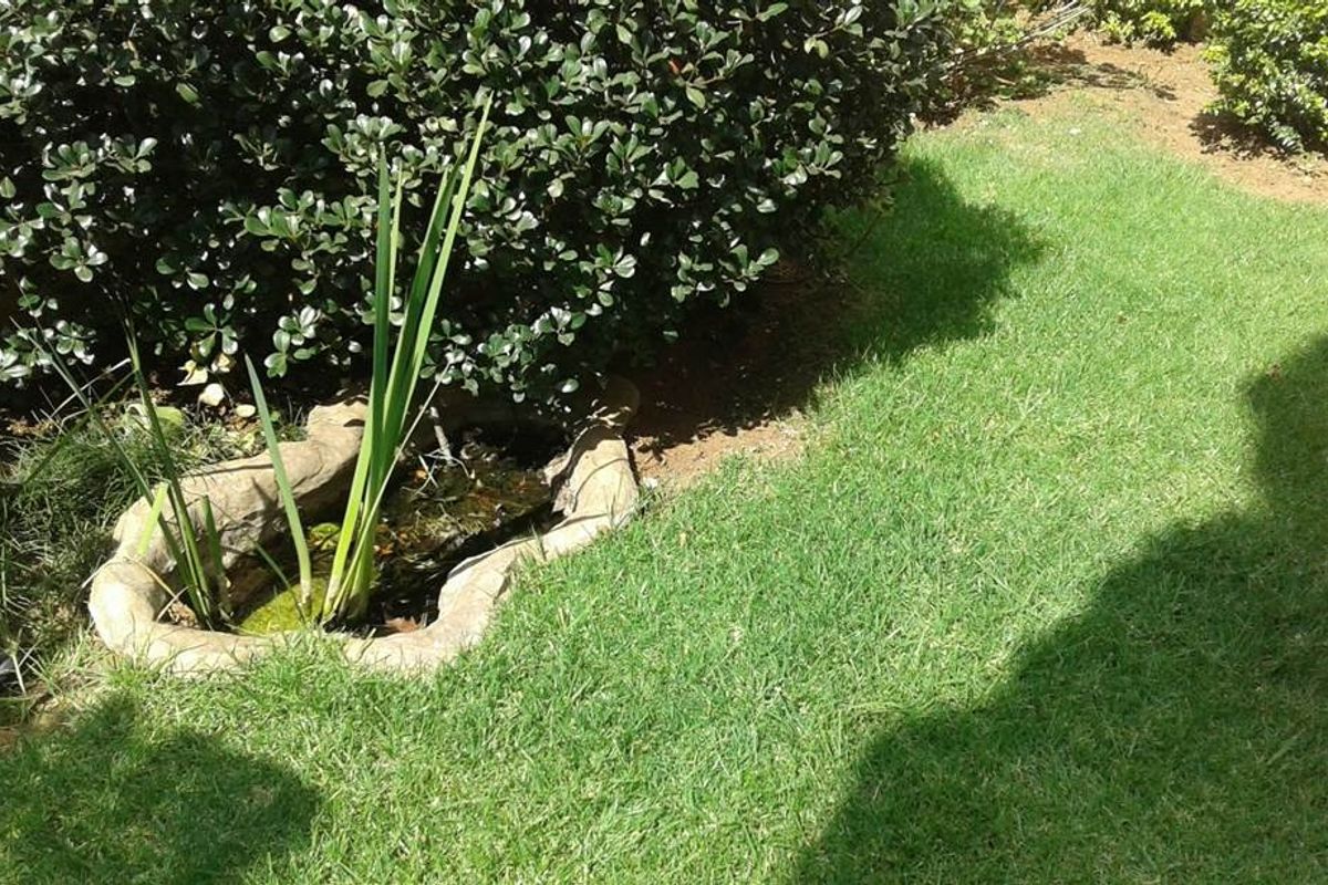 UNFURNISHED ONE BEDROOM GARDEN - Photo 2