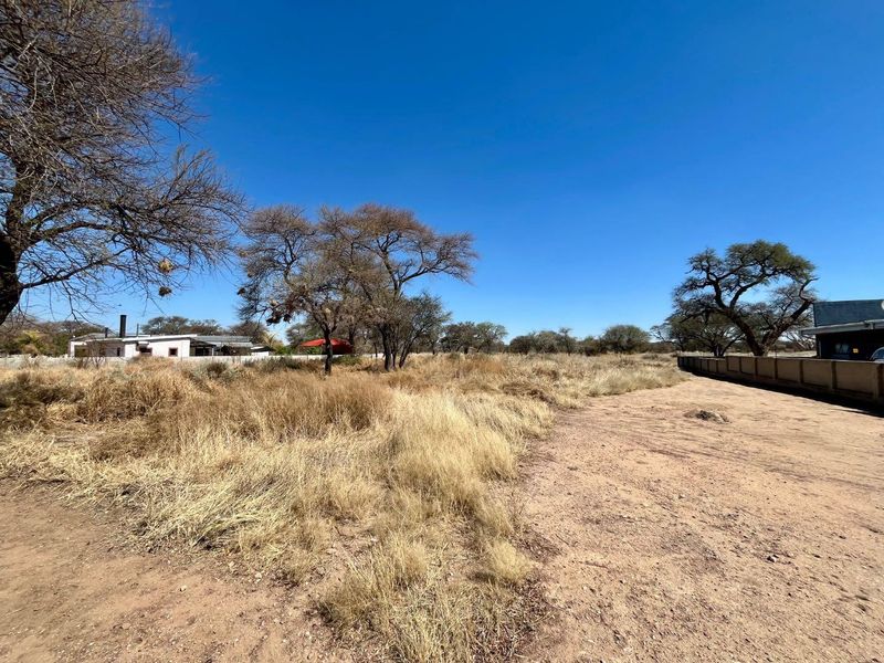 A wide-angle view of a vacant residential plot featuring natural vegetation, mature trees, and an existing boundary wall.