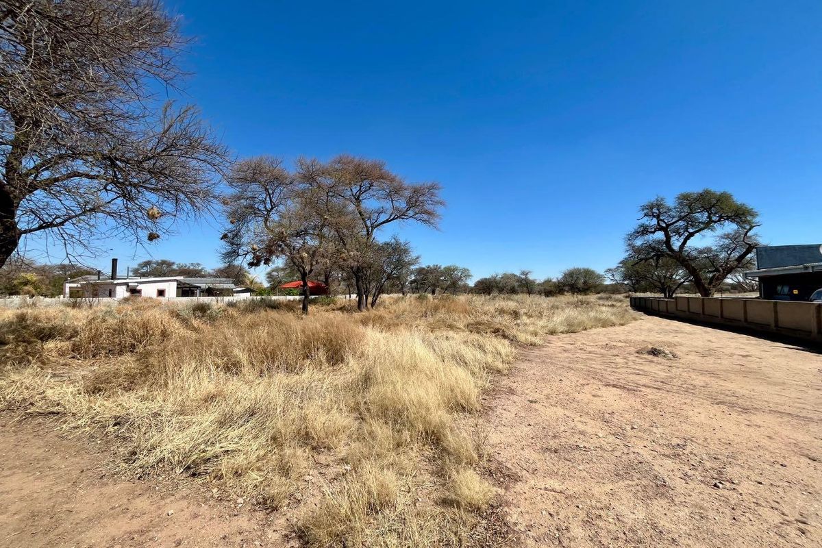 A wide-angle view of a vacant residential plot featuring natural vegetation, mature trees, and an existing boundary wall.