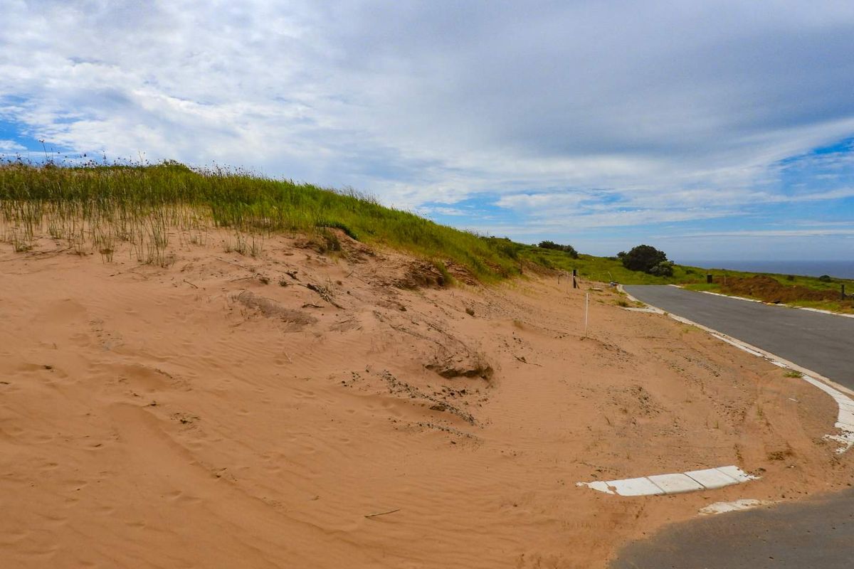 Seaton Magic with Seaviews - Photo 4