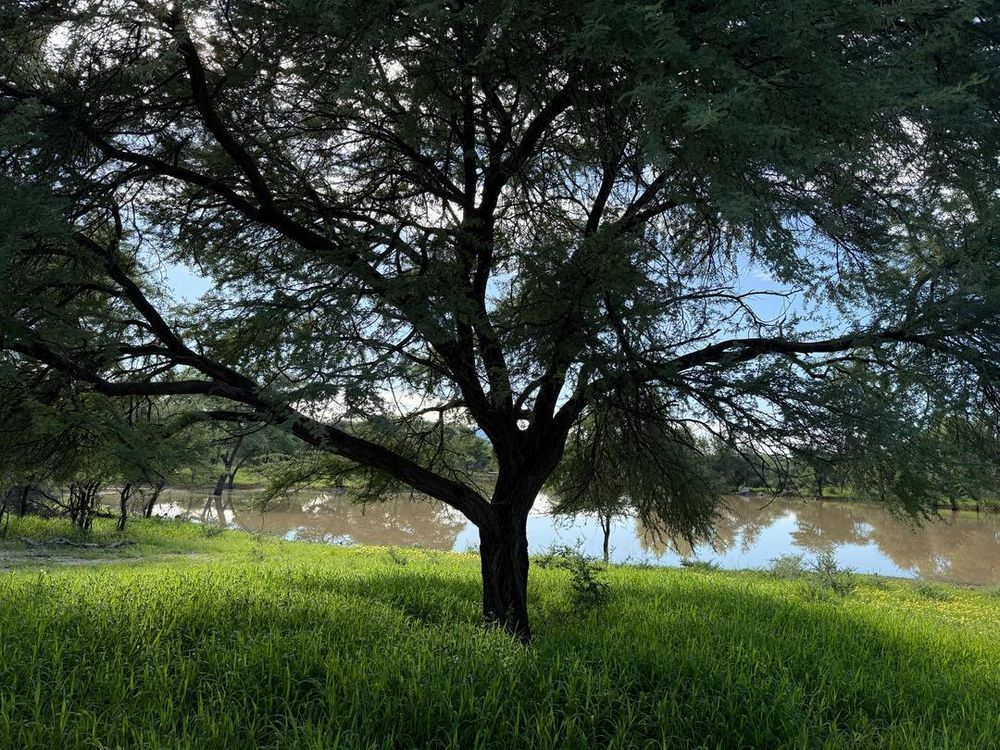 View of the soil dam on the farm