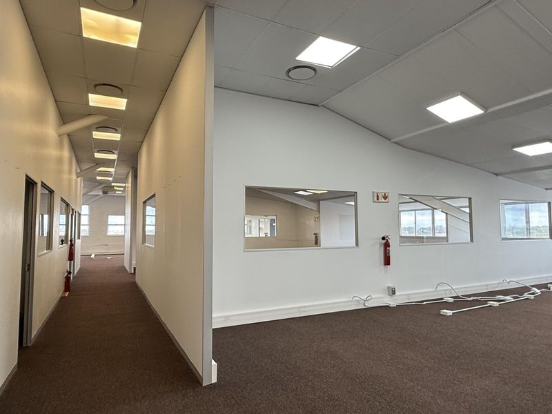 Spacious open-plan office area featuring suspended ceilings, recessed lighting, carpeted floors, and internal glass partitions, providing a versatile workspace environment.