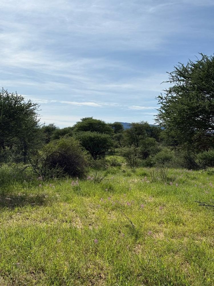 View of the field on the Farm