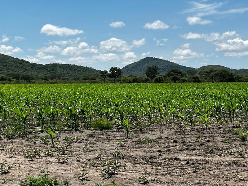 Hashtag Home proudly introduces this plot in an exclusive agricultural development just outside Otavi — a region well-known for its exceptional farming potentia - Photo 5