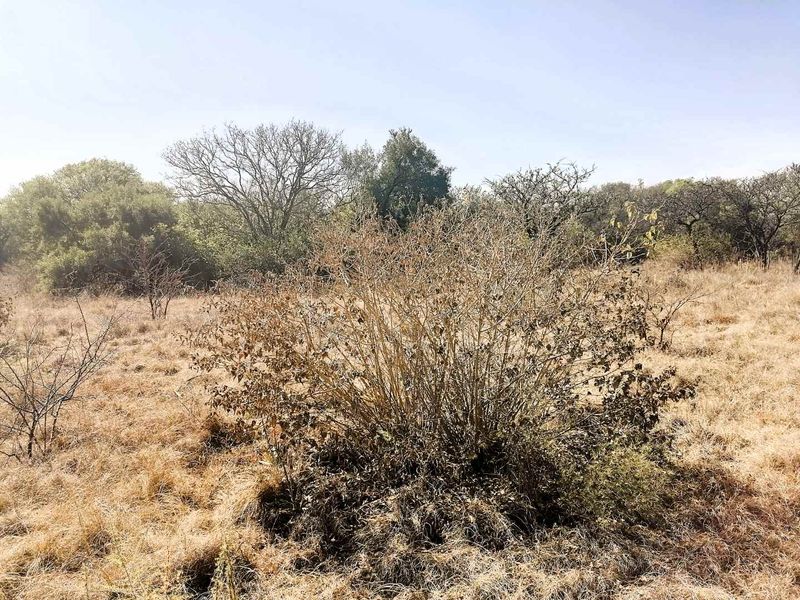 Vacant Land for Sale – Wildebeesthoek - Photo 4