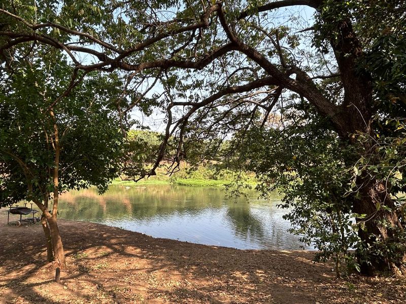 Magnificent Riverfront with island 9.5 Ha Litchi & Macadamia Farm on the Banks of the Letaba River - Photo 4