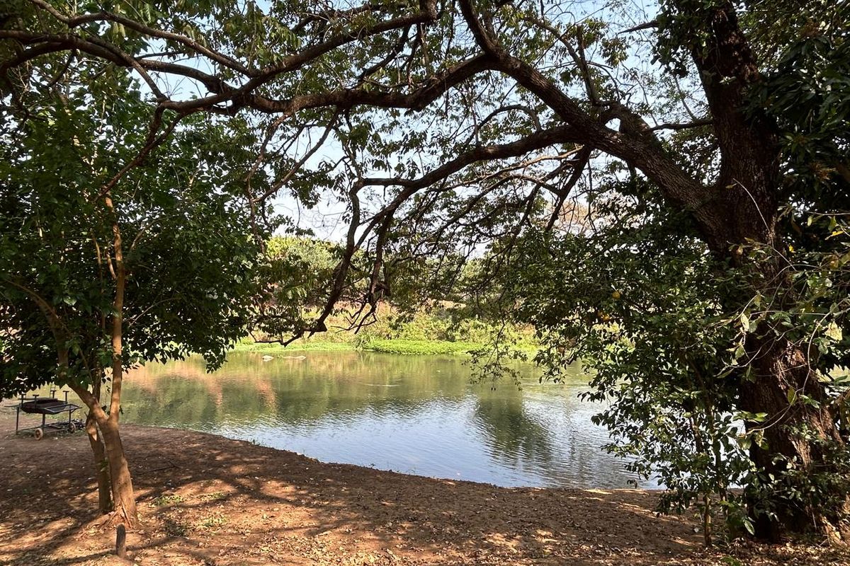 Magnificent Riverfront with island 9.5 Ha Litchi & Macadamia Farm on the Banks of the Letaba River - Photo 4
