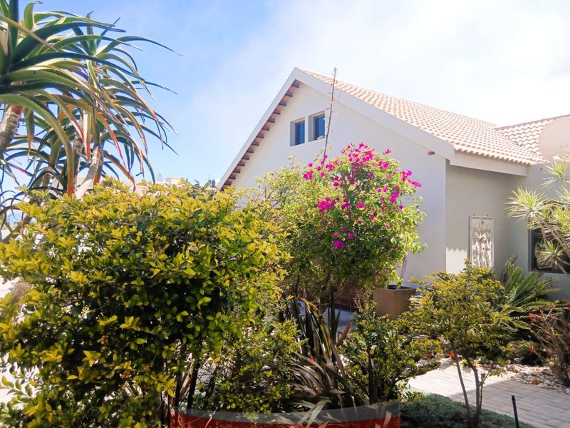 A view of the rear exterior of the house featuring a gable roof, tiled roofing, and a paved walkway surrounded by established garden landscaping.