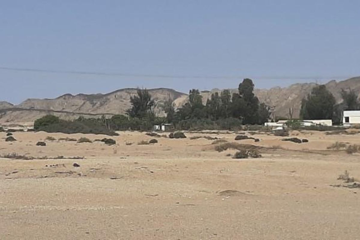 11Ha Swakop River Plot for Sale - Photo 5