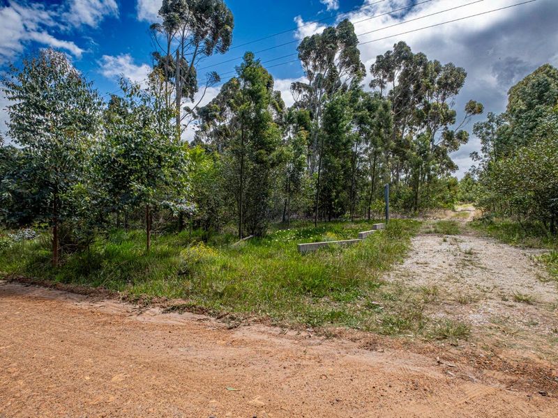 Step into a realm of possibilities with this exceptional Industrial property. - Photo 6