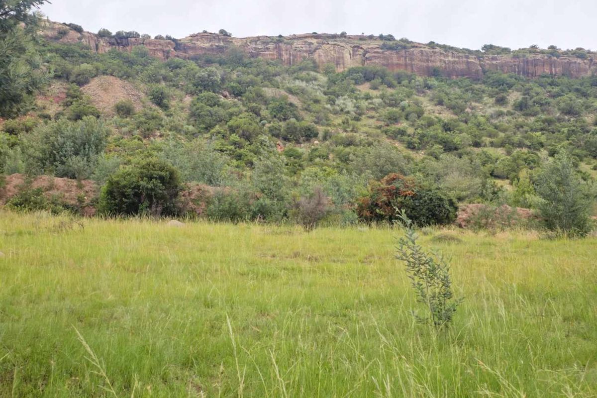 **Discover Your Future Home Site with Stunning Mountain Views** - Photo 2