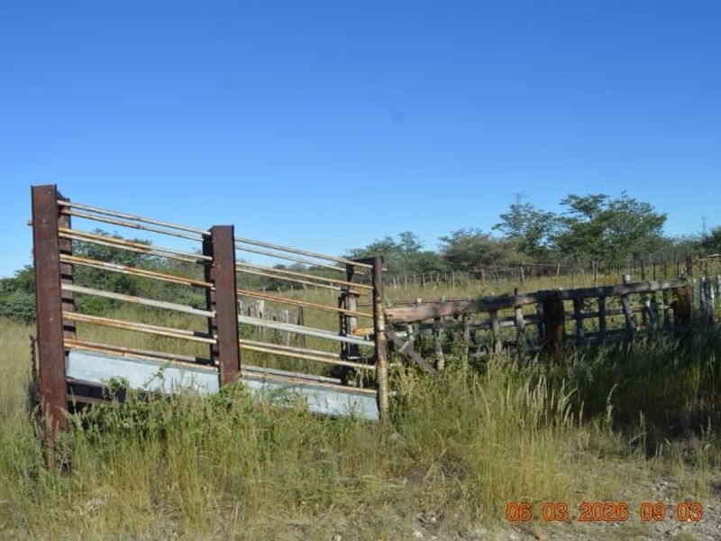 Outdoor livestock handling area featuring a metal loading ramp and wire fencing on a rural farm property.