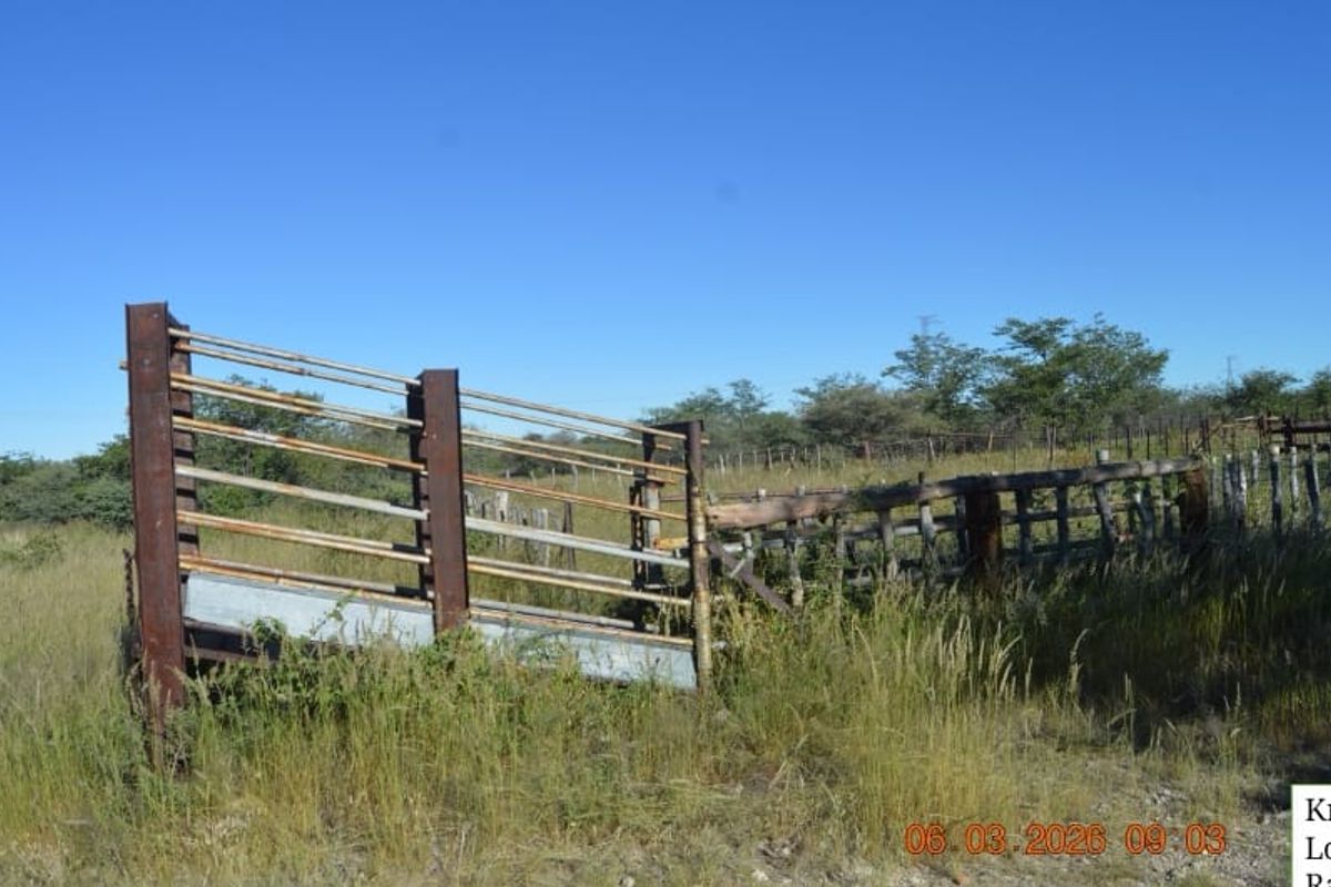Outdoor livestock handling area featuring a metal loading ramp and wire fencing on a rural farm property.