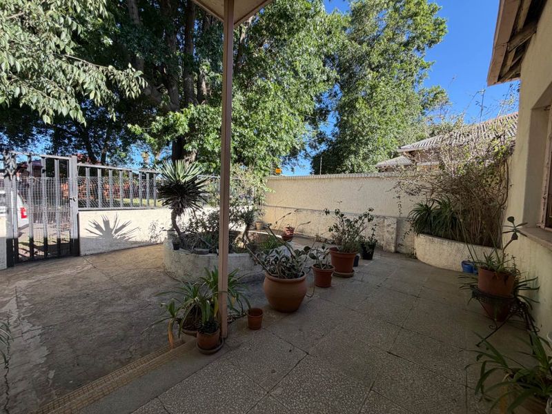 A paved outdoor patio area featuring raised garden beds, perimeter walling, and a metal security gate, offering potential for an inviting entertainment space.