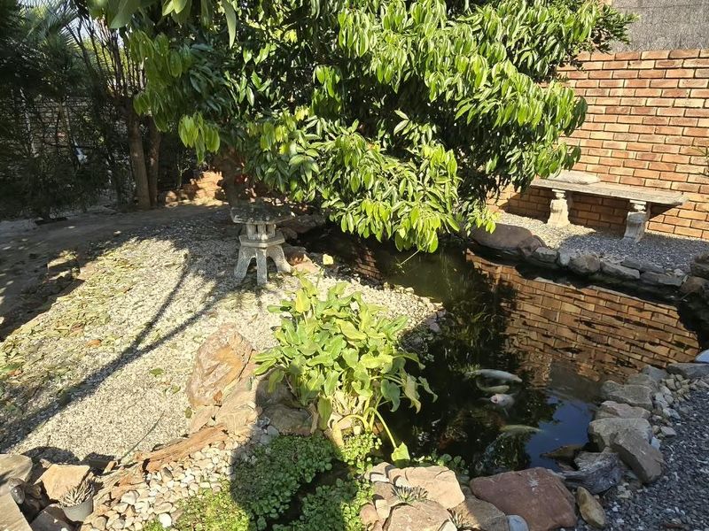 A landscaped garden area featuring a koi pond, stone decorative elements, and a brick boundary wall.