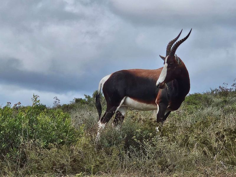 Discover your dream home at Outeniquasbosch Wildlife Village - Photo 5