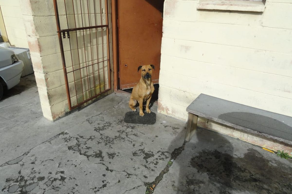 Spacious 2 bedroom maisonette located in Salberau, Elsies River - Photo 5