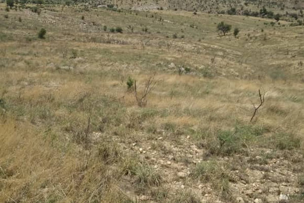 21 HA PLOT FOR SALE, KHOMAS HOCHLAND, NAMIBIA - Photo 4