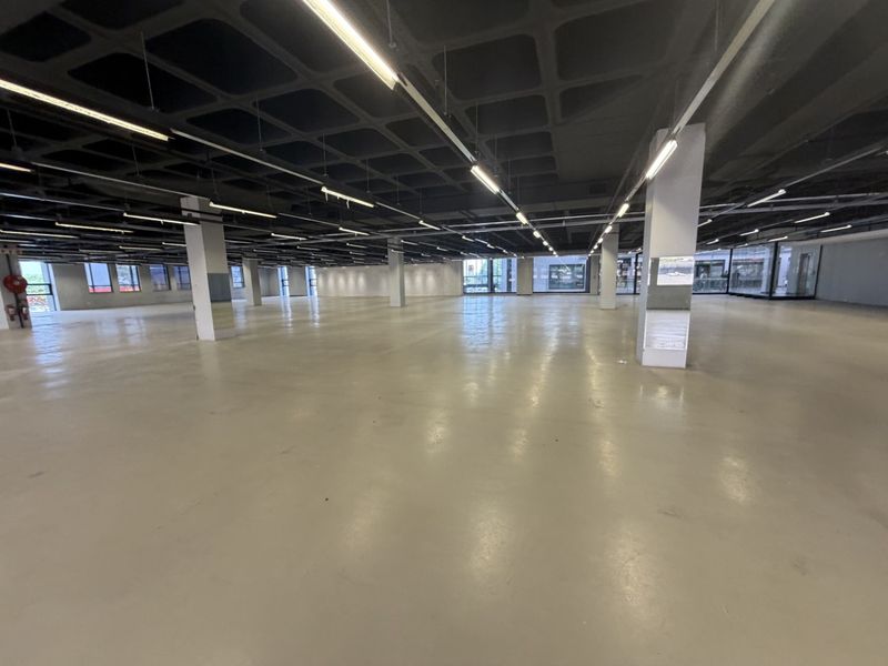 A spacious, open-plan industrial floor featuring polished concrete floors, exposed waffle slab ceilings, and structural support columns, ideal for versatile commercial or office use.