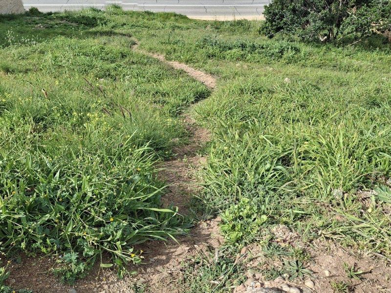 A view of a vacant residential plot featuring sloped terrain and natural grass cover, situated adjacent to a paved road.