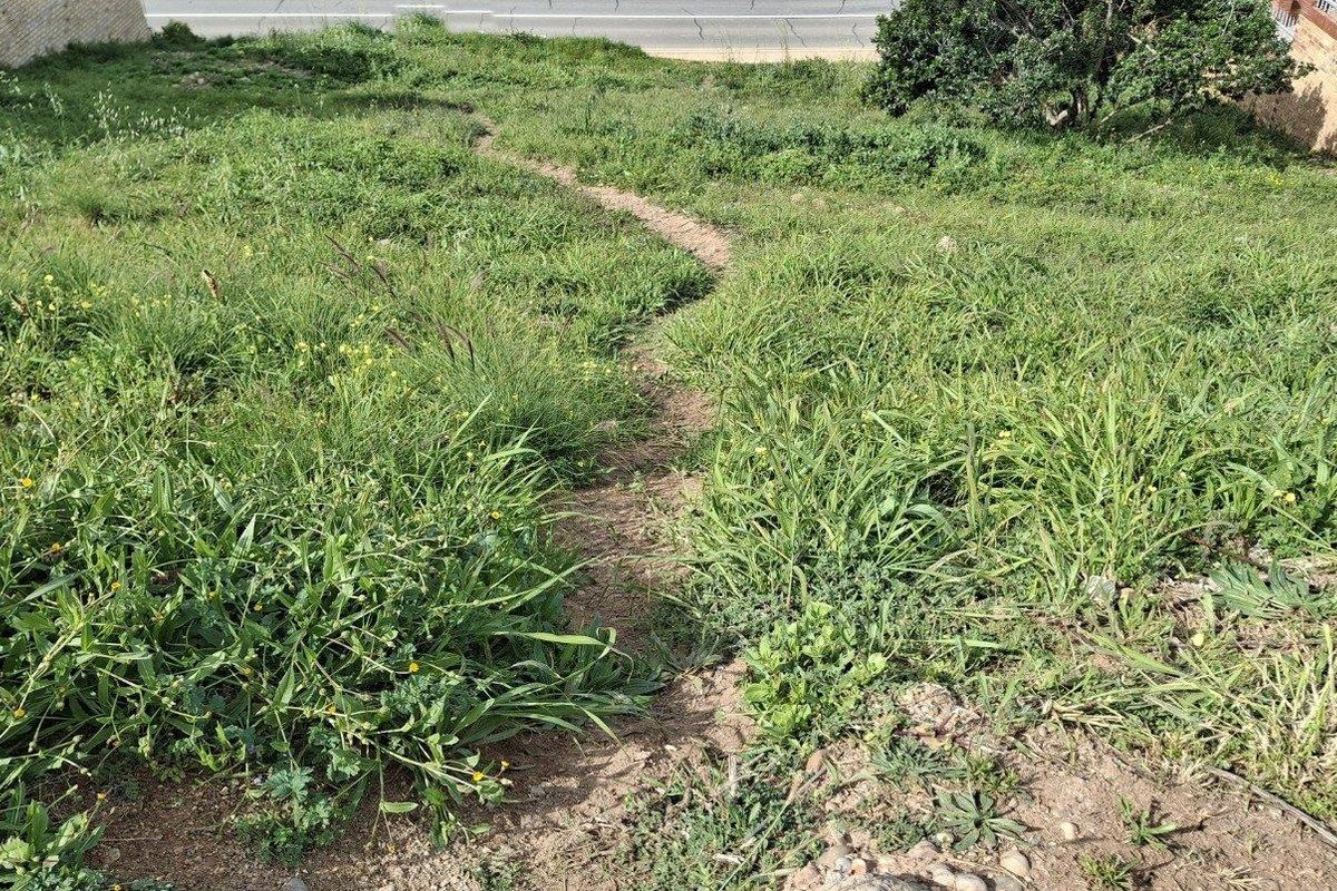 A view of a vacant residential plot featuring sloped terrain and natural grass cover, situated adjacent to a paved road.