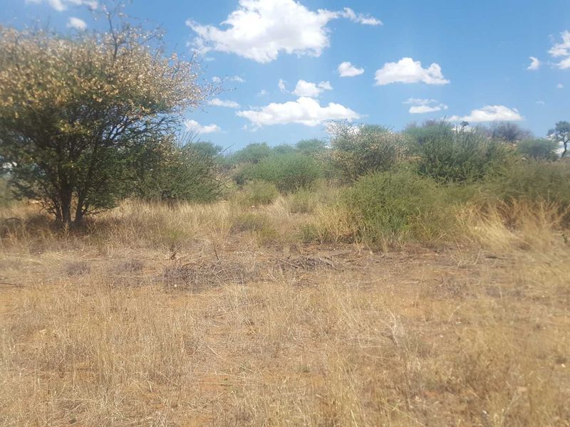 A view of the vacant residential land featuring natural vegetation and open terrain.