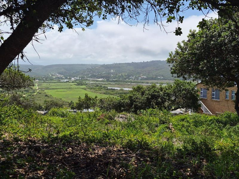 Prime Location: Expansive 1,075m2 Stand in Bergsig, Groot Brak River - Photo 5