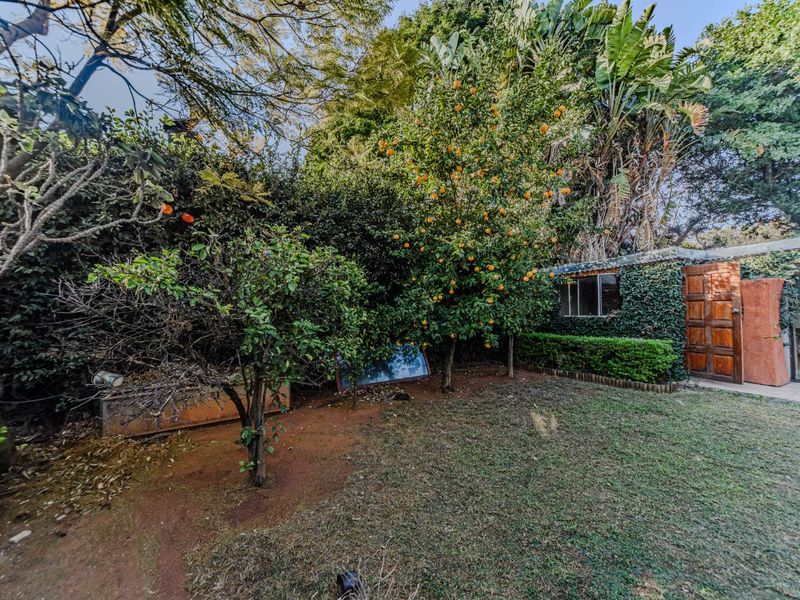 A lush, established garden area featuring mature trees, dense hedging, and a private access door leading to the property.