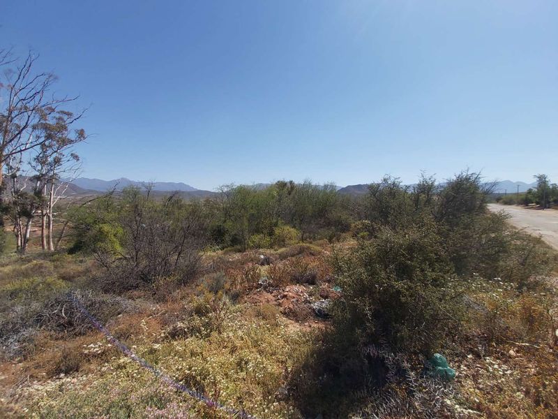 A view of an undeveloped residential plot featuring native vegetation and surrounding mountain landscape.