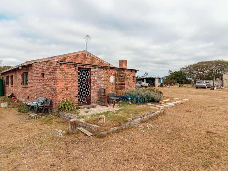 Prime 9 Hectare Smallholding | Agricultural Zoning | Port Elizabeth - Photo 3