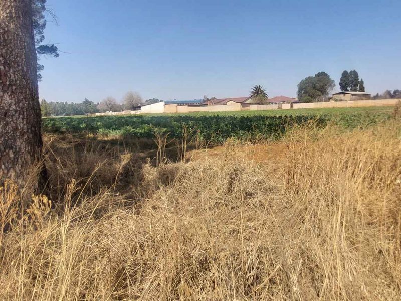 Thriving Vegetable Farm in Eikenhof for sale - Photo 4