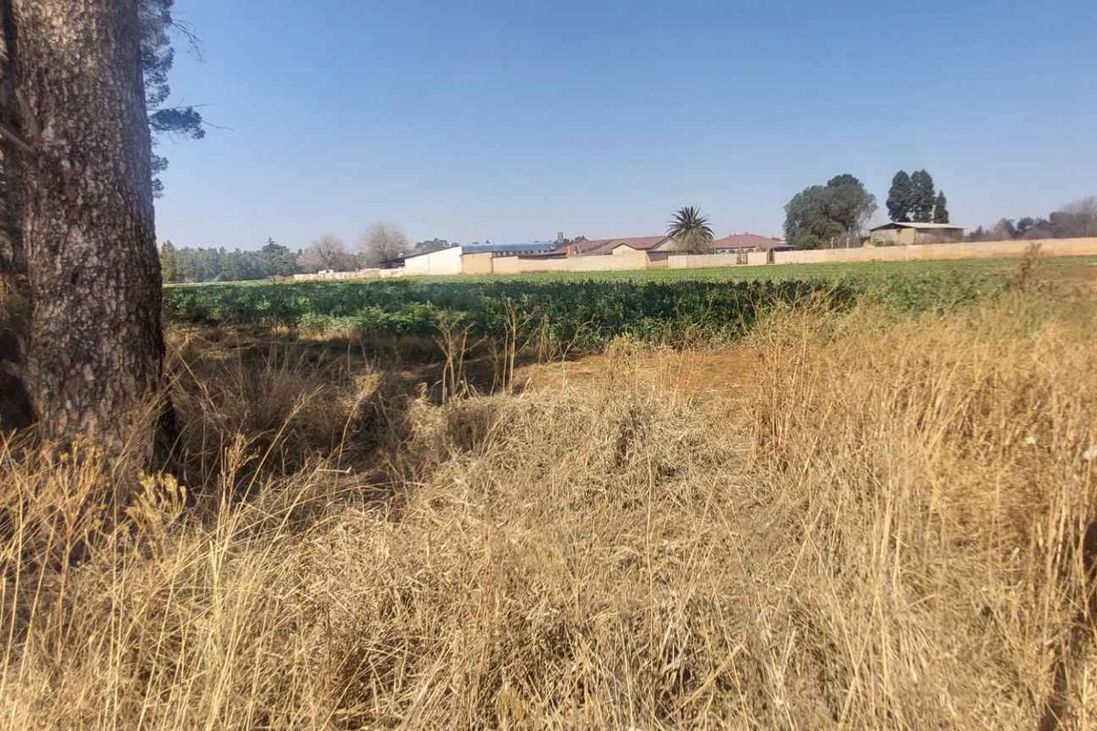 Thriving Vegetable Farm in Eikenhof for sale - Photo 4