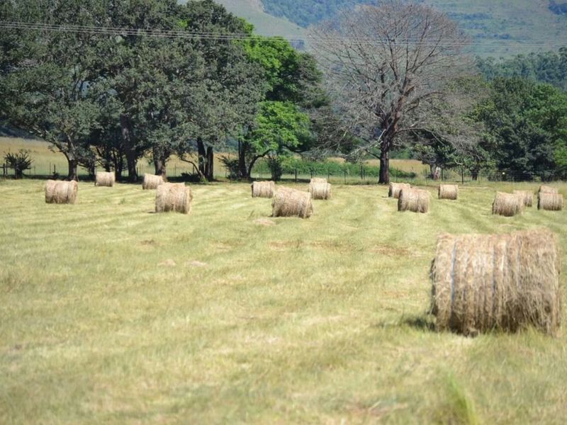 Farm for Sale - Photo 10