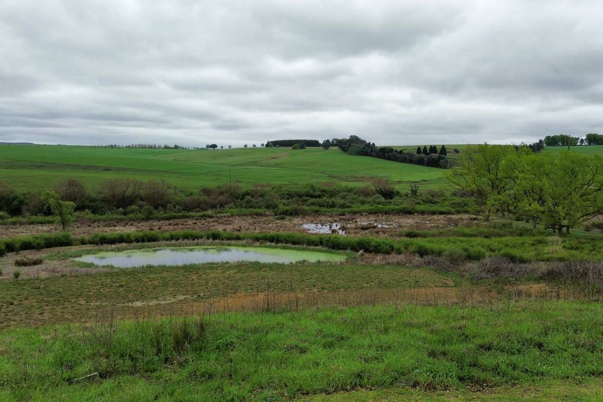 A scenic view of the vacant residential land featuring natural grassland, rolling hills, and a small pond under an overcast sky.