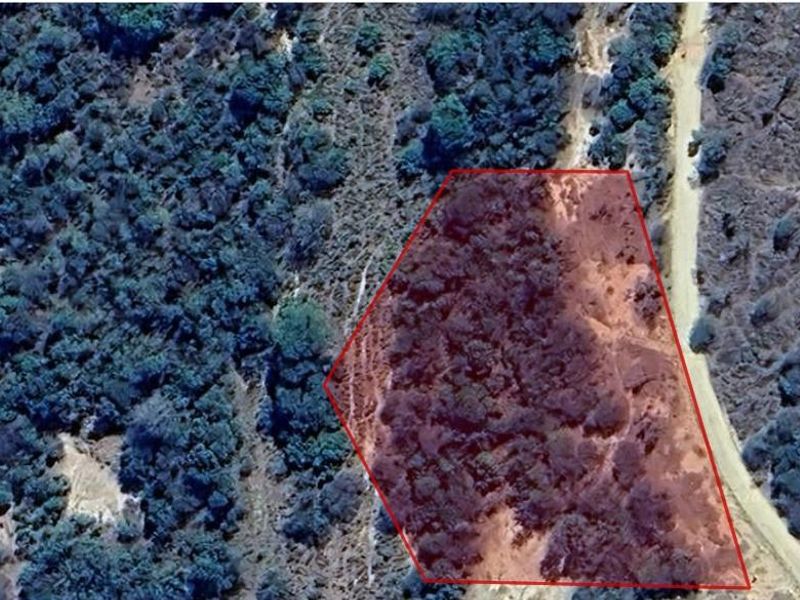 Well-Located, Riverfront Stand in Moditlo Wildlife Estate - Photo 10